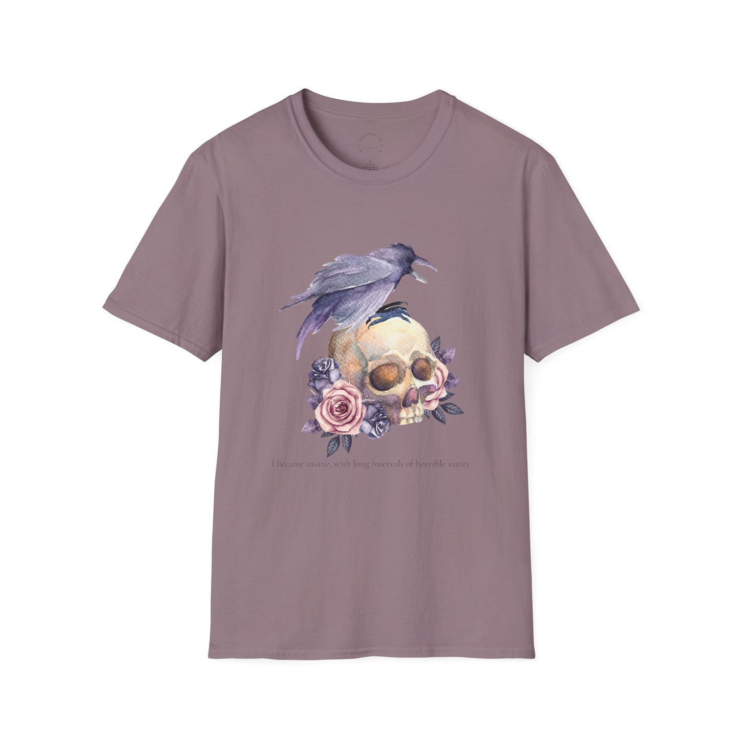 Edgar Allan Poe Tee, Skull and Raven, Gothic Shirt, Casual Wear