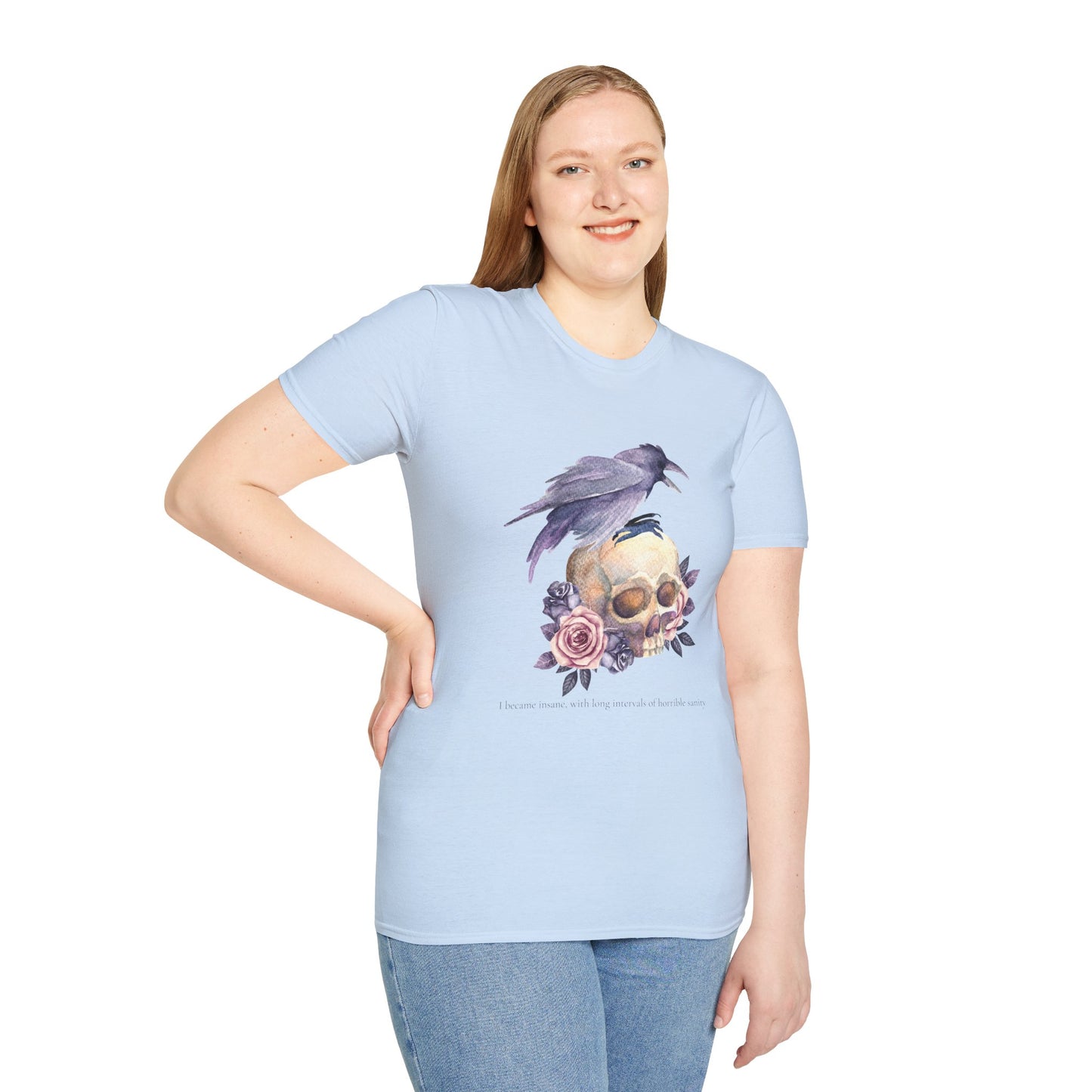 Edgar Allan Poe Tee, Skull and Raven, Gothic Shirt, Casual Wear