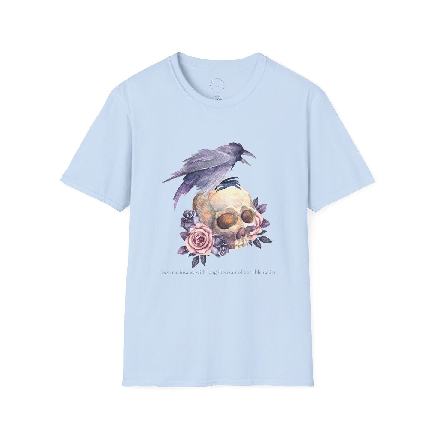 Edgar Allan Poe Tee, Skull and Raven, Gothic Shirt, Casual Wear