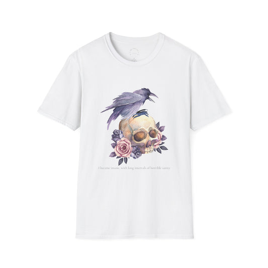 Edgar Allan Poe Tee, Skull and Raven, Gothic Shirt, Casual Wear